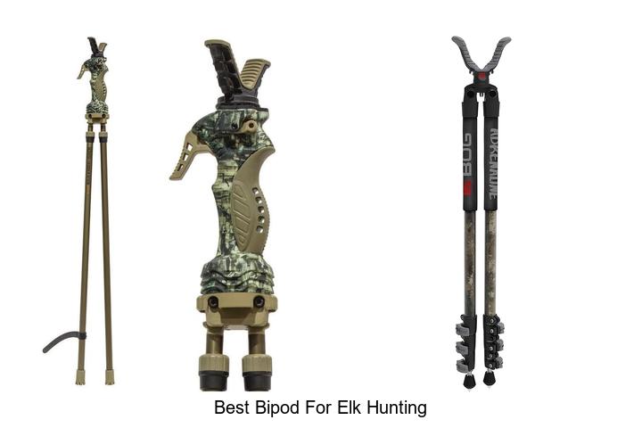 Top 10 Best Bipod For Elk Hunting That Will Boost Accuracy