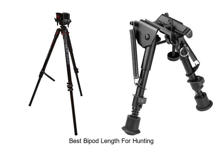 Top 10 Best Bipod Length For Hunting That Boost Accuracy!