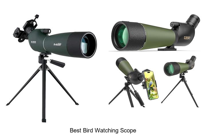 Top 12 Best Bird Watching Scope That Will Blow Your Mind!