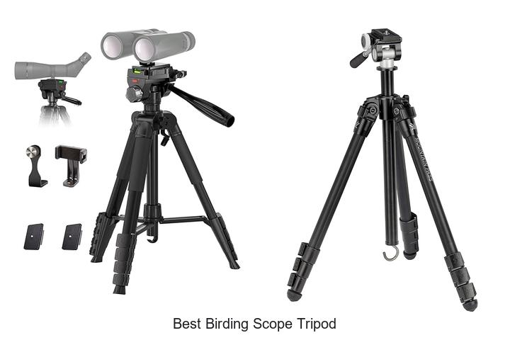 Top 12 Best Birding Scope Tripod That Will Blow Your Mind