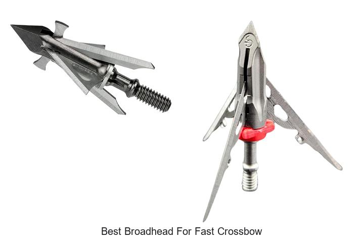 Top 12 Best Broadhead for Fast Crossbow That Kills Instantly