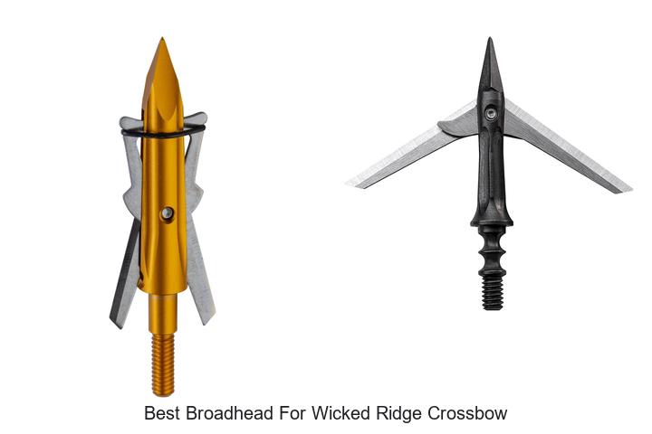 Top 12 Best Broadhead for Wicked Ridge Crossbow Revealed!