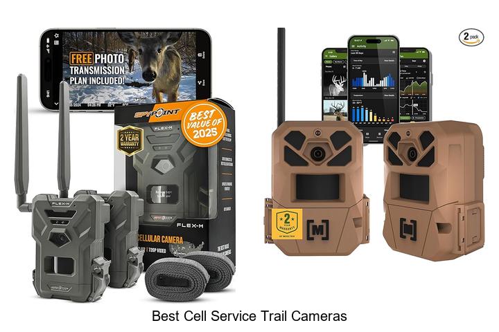 Top 12 Best Cell Service Trail Cameras That Outsmart All!