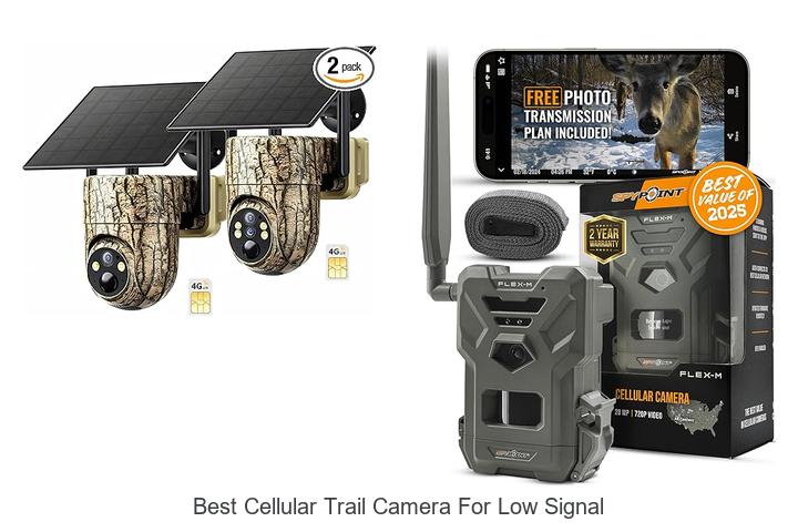 Top 12 Best Cellular Trail Camera for Low Signal Revealed!