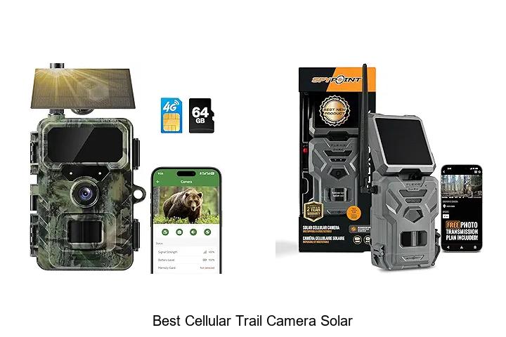Top 12 Best Cellular Trail Camera Solar You Can’t Miss!