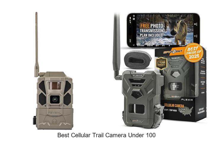 Top 12 Best Cellular Trail Camera Under 100 You Need Now