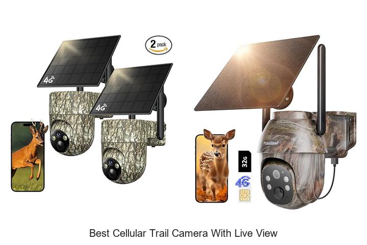 Top 12 Best Cellular Trail Camera With Live View You Need