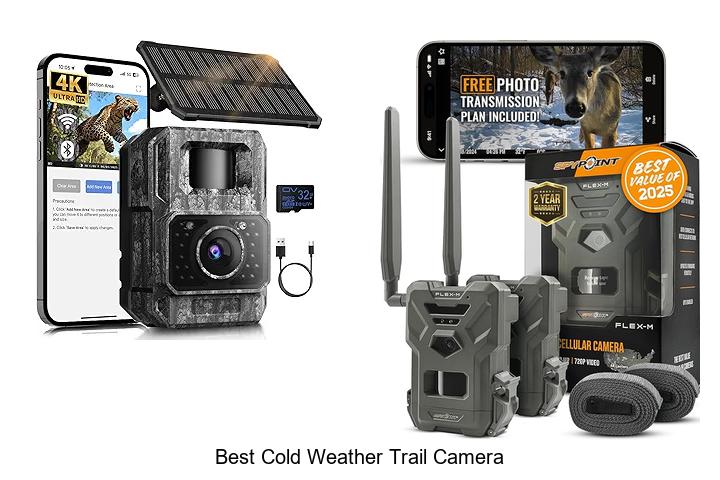 Top 12 Best Cold Weather Trail Camera That Never Fails