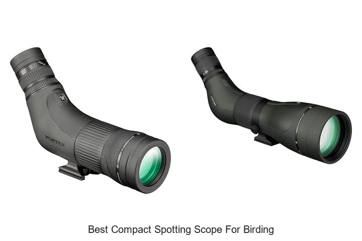 Top 12 Best Compact Spotting Scope for Birding Revealed!