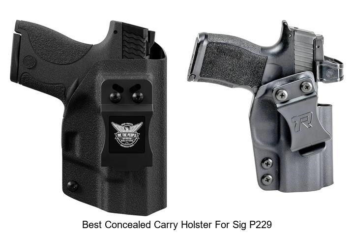 Top 12 Best Concealed Carry Holster for Sig P229 Revealed