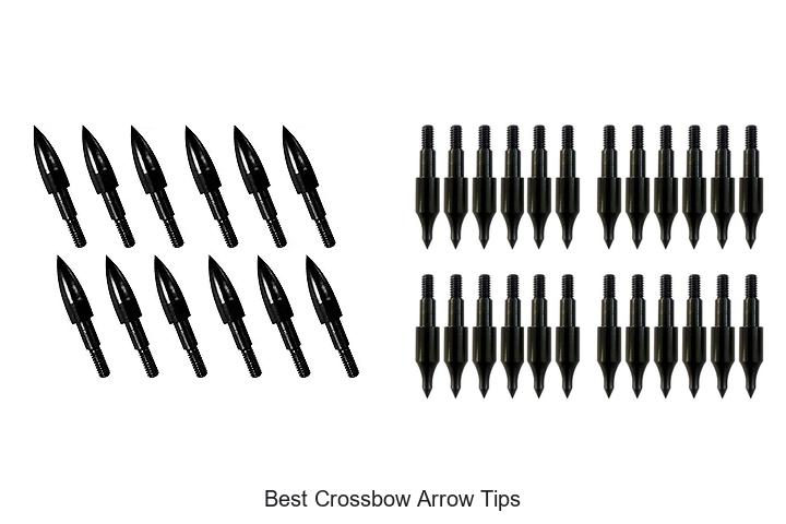 Top 12 Best Crossbow Arrow Tips You Can’t Miss Today!