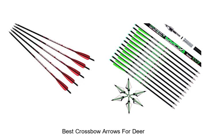 Top 12 Best Crossbow Arrows For Deer That Guarantee Hits