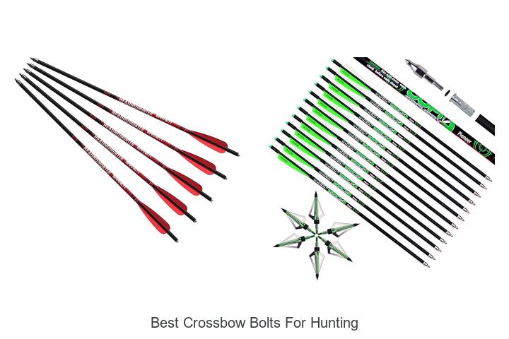 Top 12 Best Crossbow Bolts For Hunting You Can’t Miss