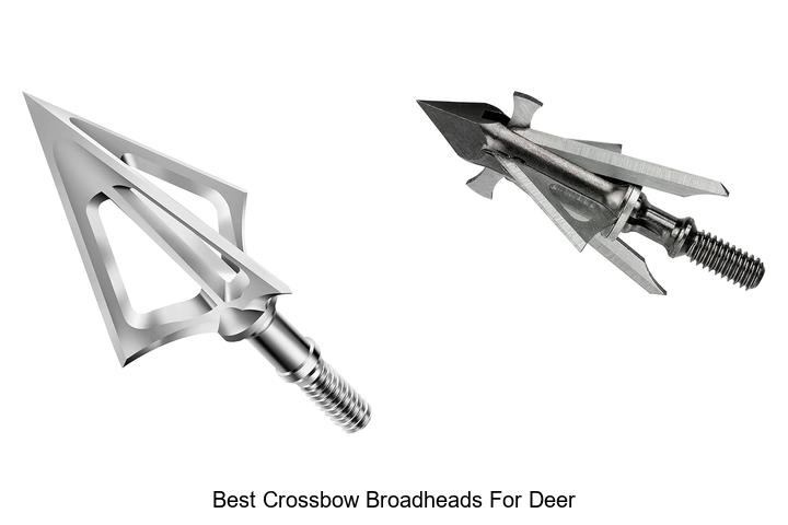 Top 12 Best Crossbow Broadheads for Deer That Kill Fast