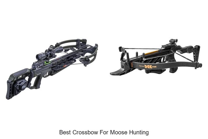 Top 12 Best Crossbow for Moose Hunting That Crush Big Game