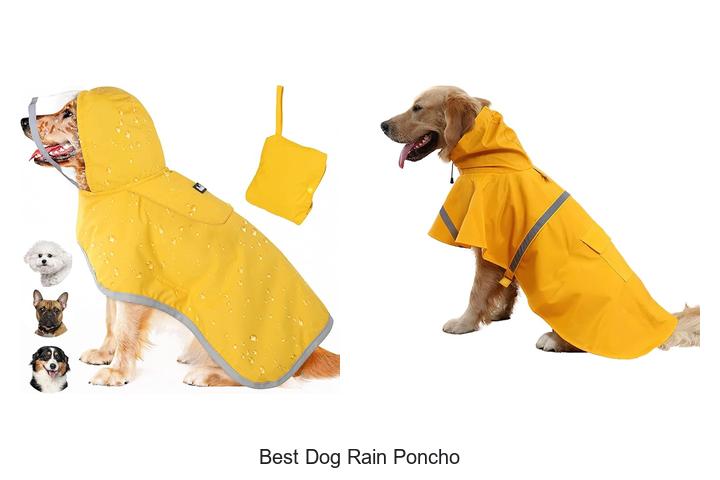 Top 10 Best Dog Rain Poncho That Will Keep Pets Dry!