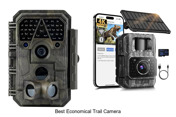 Top 12 Best Economical Trail Camera That Will Blow Your Mind