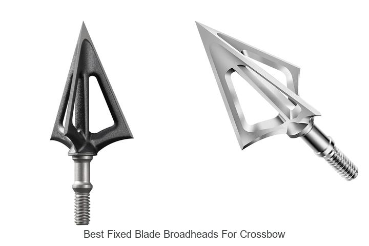 Top 12 Best Fixed Blade Broadheads for Crossbow Revealed!