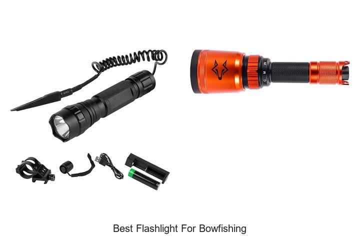 Top 10 Best Flashlight for Bowfishing You Can’t Miss!