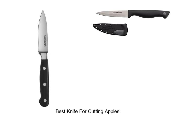 Top 12 Best Knife For Cutting Apples You Can’t Miss