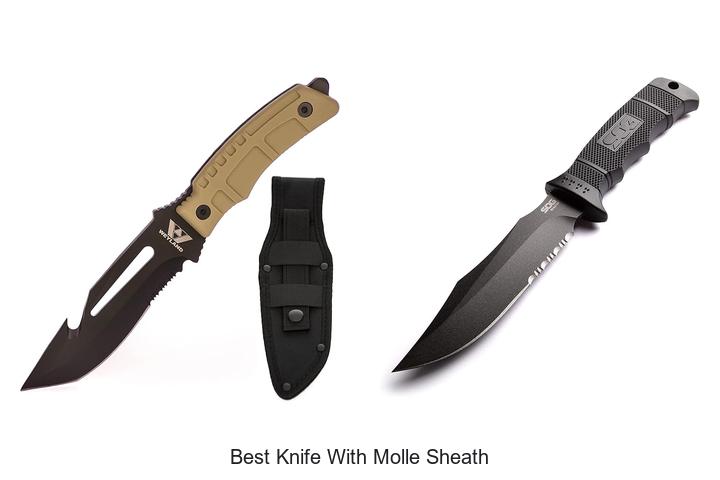 Top 12 Best Knife With Molle Sheath You Can’t Miss!