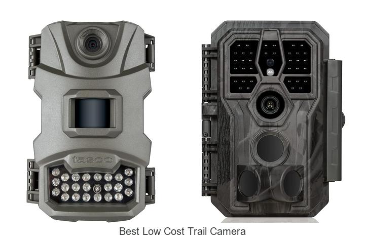 Top 12 Best Low Cost Trail Camera Deals You Can’t Miss!