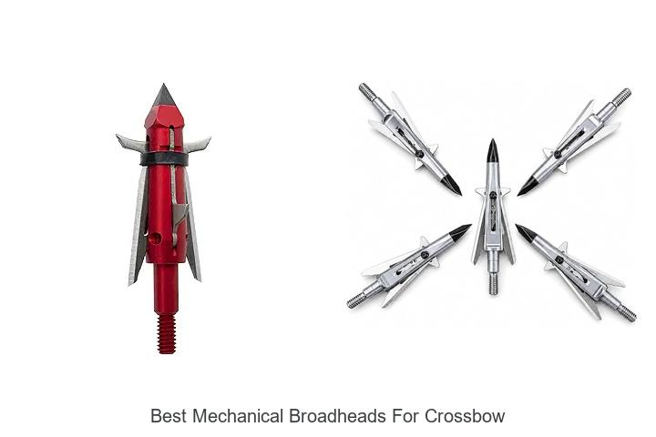 Top 12 Best Mechanical Broadheads For Crossbow Revealed