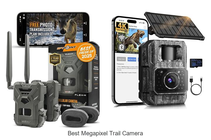 Top 12 Best Megapixel Trail Camera That Hunters Swear By