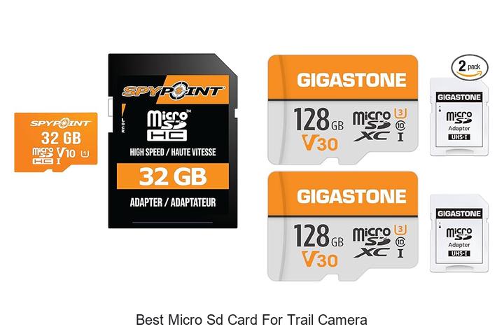 Top 12 Best Micro SD Card for Trail Camera That Shock You