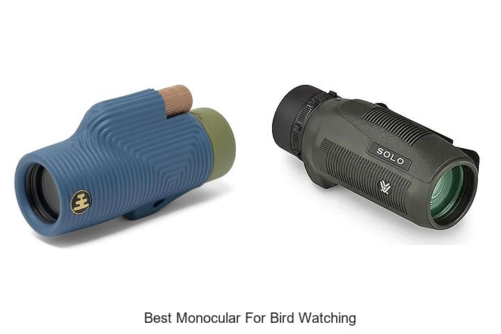 Top 12 Best Monocular For Bird Watching You Can’t Miss!
