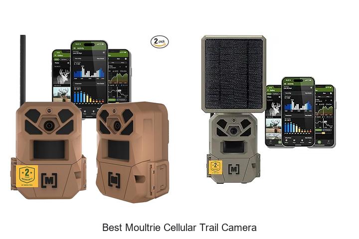 Top 12 Best Moultrie Cellular Trail Camera Deals You Need!