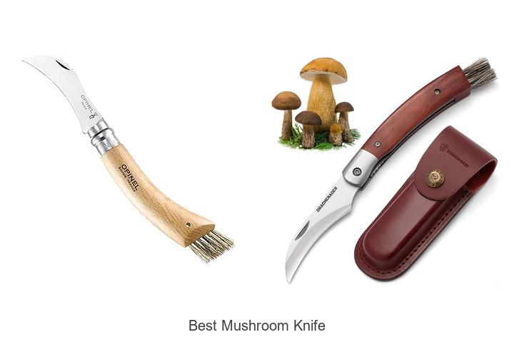 Top 12 Best Mushroom Knife Picks You Can’t Miss Today