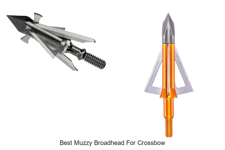 Top 12 Best Muzzy Broadhead for Crossbow That Dominate!