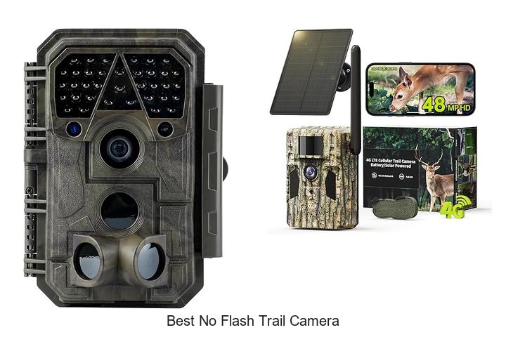 Top 12 Best No Flash Trail Camera That Hunters Swear By
