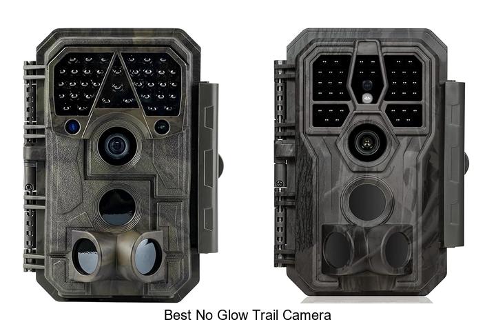 Top 12 Best No Glow Trail Camera That Hunters Swear By