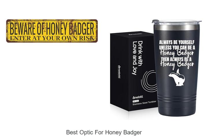 Top 10 Best Optic for Honey Badger You Can’t Miss!