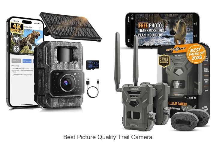 Top 12 Best Picture Quality Trail Camera That Will Amaze You