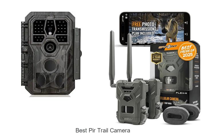 Top 12 Best PIR Trail Camera That Will Blow Your Mind