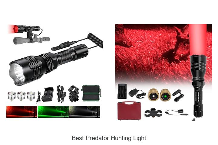 Top 12 Best Predator Hunting Light That Will Blow Minds