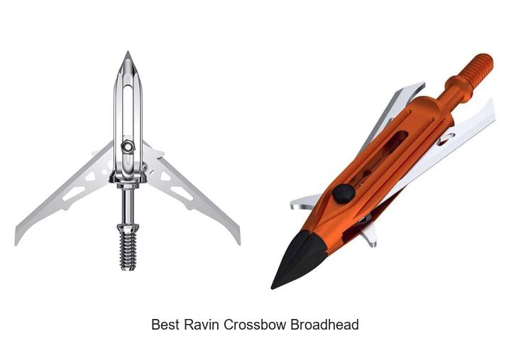 Top 12 Best Ravin Crossbow Broadhead Picks You Must Try!