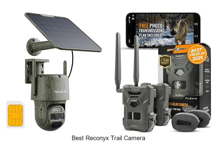 Top 12 Best Reconyx Trail Camera That Hunters Swear By