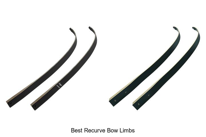 Top 10 Best Recurve Bow Limbs You Don’t Want to Miss!