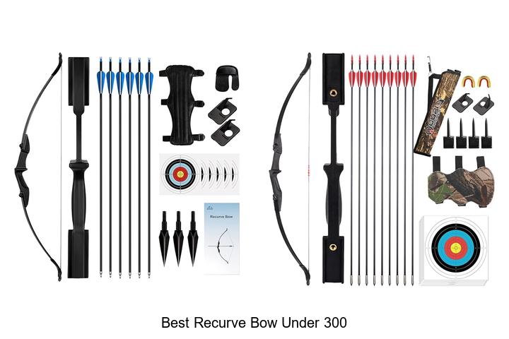 Top 10 Best Recurve Bow Under 300 You Can’t Miss!