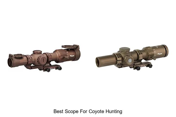 Top 12 Best Scope For Coyote Hunting You Can’t Miss