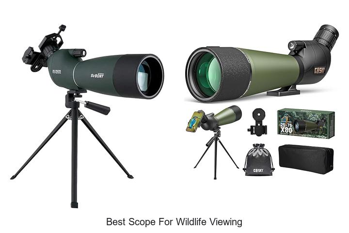 Top 12 Best Scope For Wildlife Viewing That Will Amaze You
