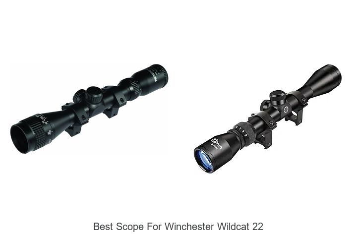Top 12 Best Scope For Winchester Wildcat 22 You Need Now