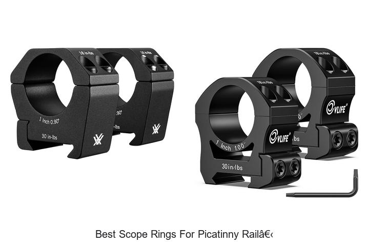 Top 10 Best Scope Rings For Picatinny Rail You Need Now