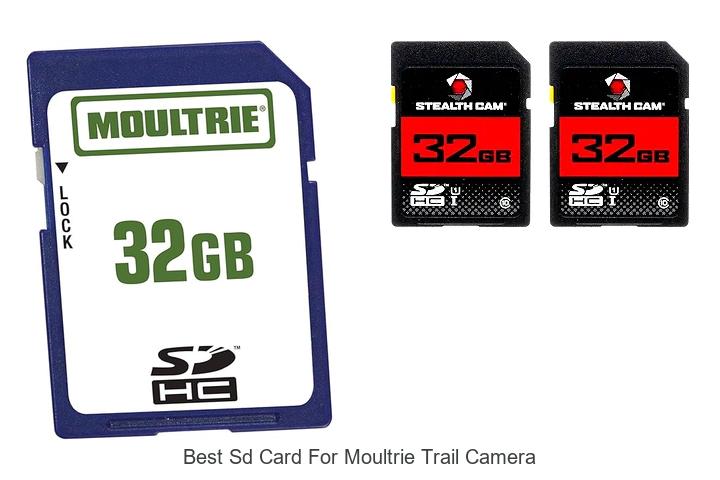 Top 12 Best SD Card For Moultrie Trail Camera Revealed!