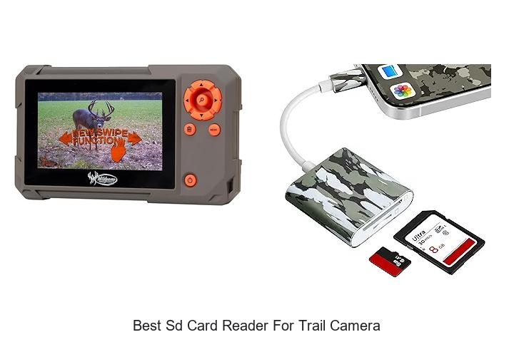 Top 12 Best SD Card Reader for Trail Camera You Need Now