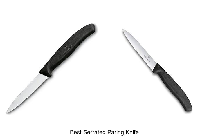 Top 12 Best Serrated Paring Knife You Can’t Miss!